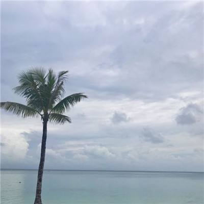 龙腾传世满v内购破解版下载