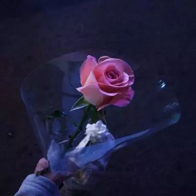 风爆远征百度版下载
